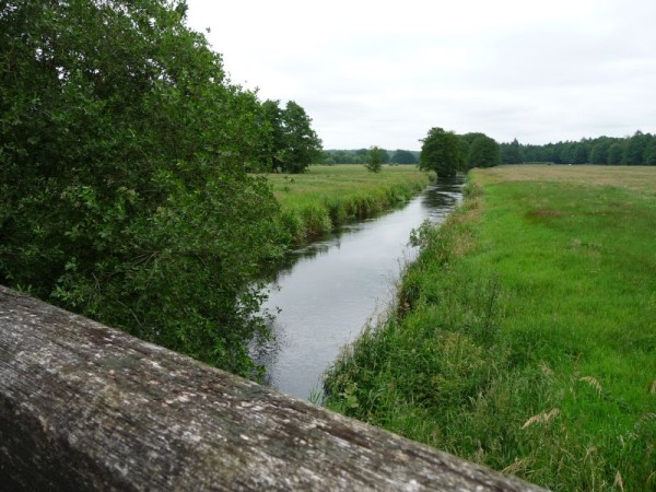 Blick auf die Seeve