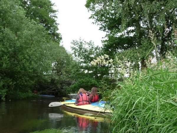 Der Seevedschungel